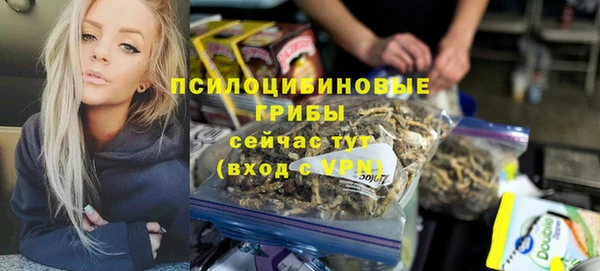 кокс Бородино