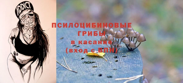 соль ск Верхний Тагил