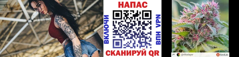 Шишки марихуана Amnesia Калач-на-Дону